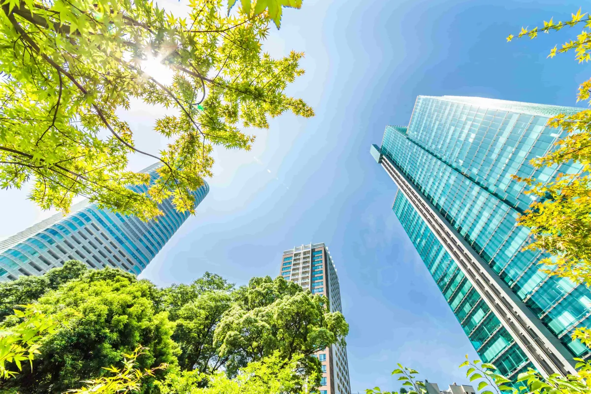 Property Management Companies
